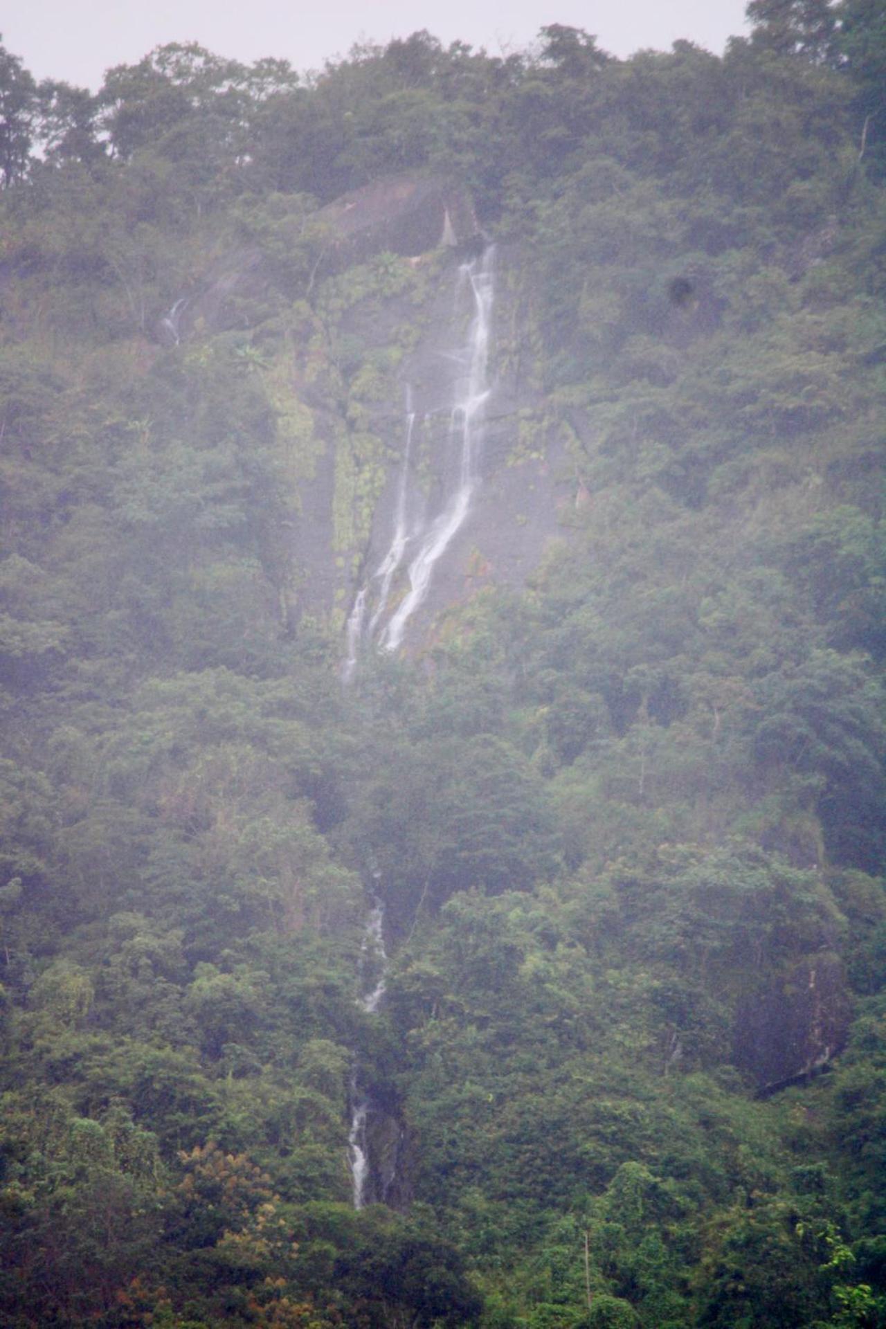 Mist Farm House Kudayattur Bagian luar foto